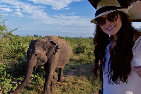 Private Tour: Yala National Park Safari