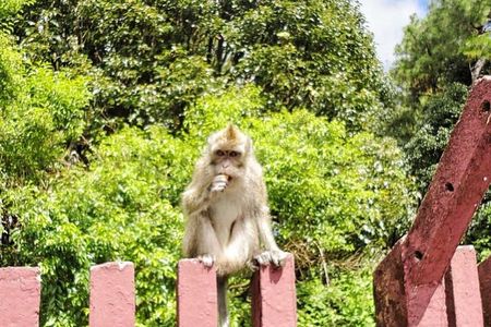 Private Southwest Day Tour: 7-Coloured Earth, Chamarel Waterfall, Trou aux Cerfs