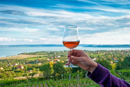Lake Balaton Full Day Private Wine Tour