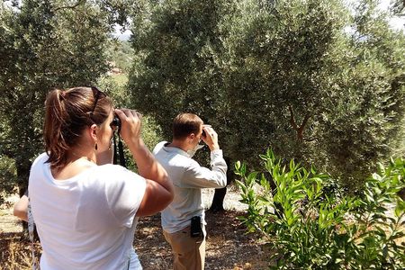 Bird Watching Tour from Kusadasi