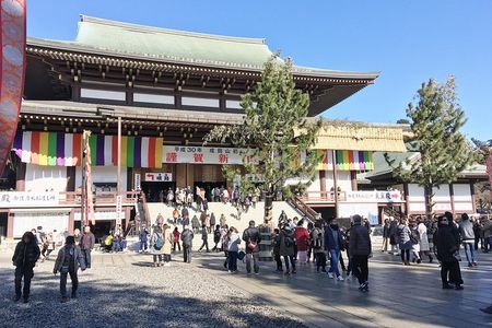 Naritasan Shinshoji temple before your flight