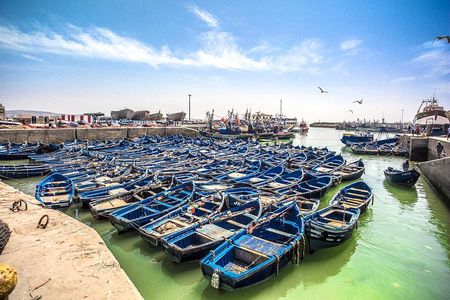 Essaouira Day trip from Agadir