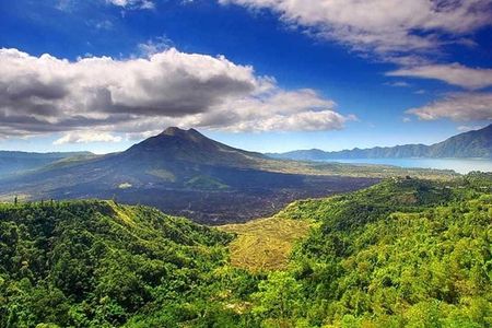 Private Tour - Ubud Kintamani Tours