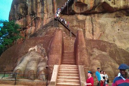 Private day trip Sigiriya, Dambulla with Kaudulla national park safari