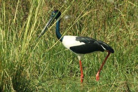 Bird Sanctuary, Bharatpur & Taj Mahal, Agra Day Tour from Delhi