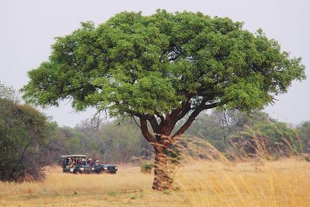 Johannesburg Like a Local: Customized Private Tour