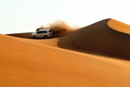 Dubai: Adventure Evening Desert Safari, Camel Ride, Shows & BBQ Dinner 