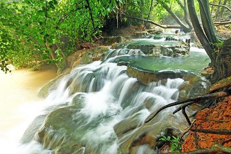 Krabi Jungle Tour (Emerald Pool, Hot Spring & Tiger Cave)