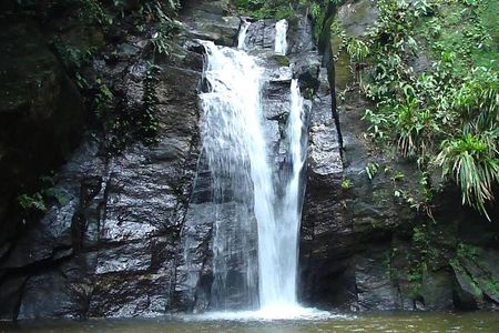 Horto Waterfalls Circuit Adventure Tour in Tijuca National Park
