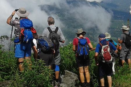 Trekking & Picnic in The Tea Plantation From Ella, Haputale & Bandarawela