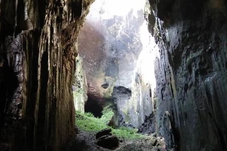 Kinabatangan River Cruise from Sandakan