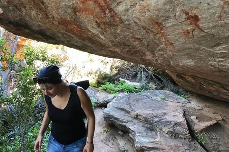 Explore ancient rock art on a private guided trip from Cape Town