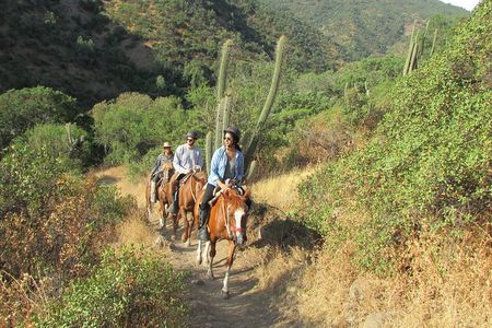 Private Horseback Adventure in the Andes, with Picnic & Wine