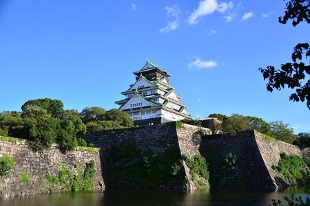 Osaka's Best and Brightest by Private Vehicle