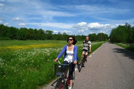 Daytrip Bike Tour on the Swedish Countryside Private
