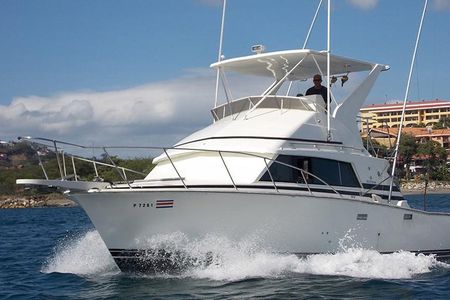 Half-full Day Sport Fishing Tour from Flamingo Beach