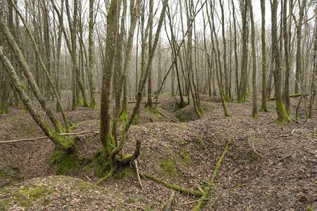World War 1 Walk Through Trenches and Bunkers