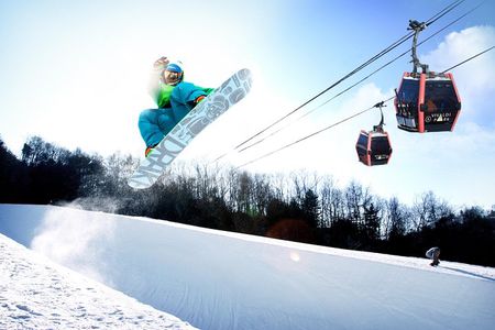 Vivaldi Park Winter Ski Resort with Nami Island Tour from Seoul