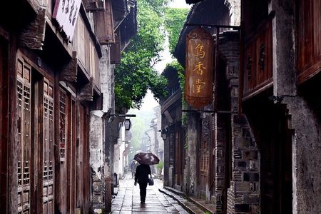 Wuzhen and Xitang Water Town Private Full Day Trip from Shanghai with Lunch and Dinner