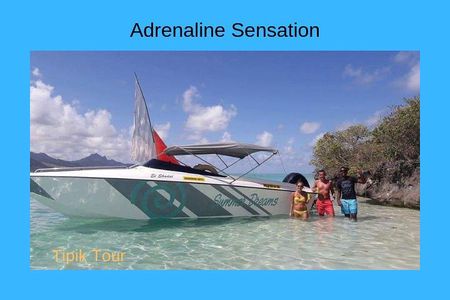 Ile aux Cerfs Day Cruise by Speedboat 