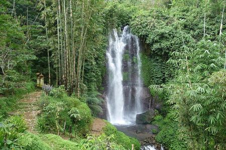 Private Munduk Waterfalls Trekking Tour