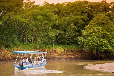 Palo Verde Wildlife Tour from Playa Hermosa-Coco Beach