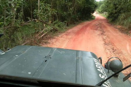 Half Day My Son Holy Land by Jeep from Hoi An