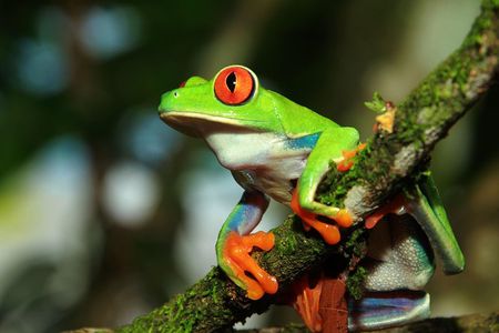 Photography Tour at Natura Eco Park