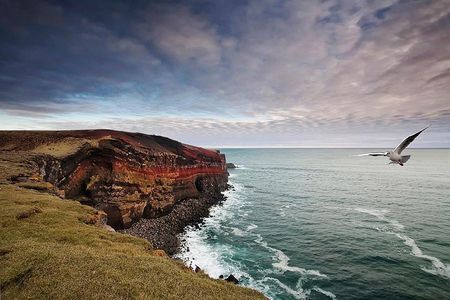 Reykjanes Peninsula + Lava fields