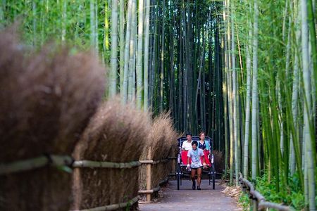 Kyoto Arashiyama Rickshaw Tour with Bamboo Forest