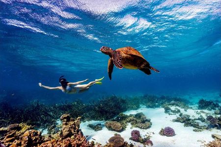 Kisite Marine Park Private Boat Snorkeling with breakfast & Lunch