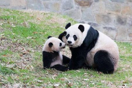 Chongqing Private City Tour Extention