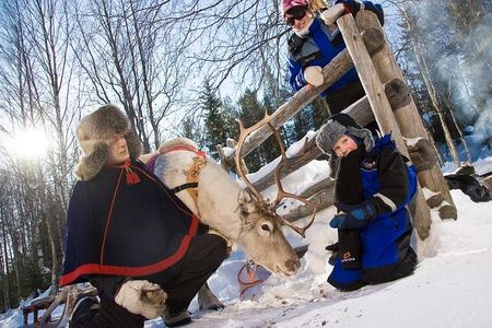 In Pursuit of Reindeer - Snowmobile safari to reindeer farm in Rovaniemi