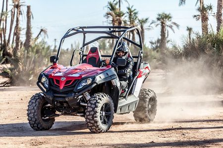 Marrakech: Buggy Tour in the Palmgroves