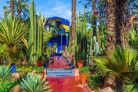 Marrakech: Private Guided Half-Day City Tour