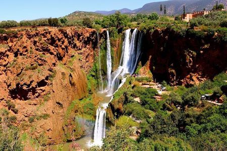 From Marrakech: 1 day at Ouzoud waterfalls