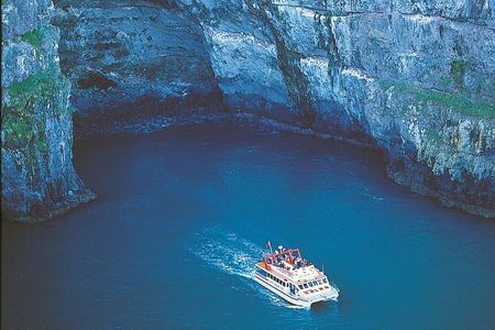 Akaroa Full Day Sightseeing Tour from Christchurch