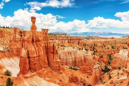 Small Group: Bryce Canyon and Zion National Park Day Tour
