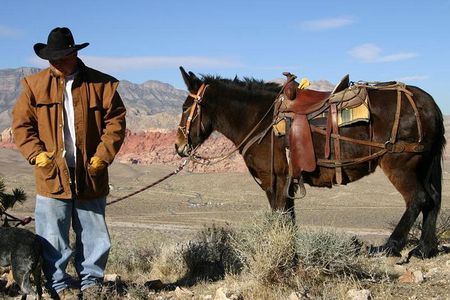 2-Hour Horseback Riding through Red Rock Canyon