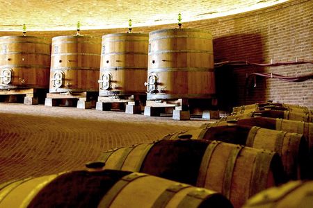 Small-Group Brunello di Montalcino Wine-Tasting Trip from Siena