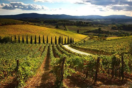 Small-Group Chianti Trip with Wine Tasting from Siena