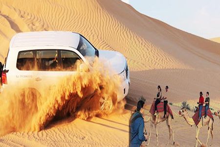 Desert Safari with Quad Bike, camel Ride, BBQ Dinner, Live Show's