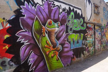 Tel Aviv Street Art & Graffiti Tour