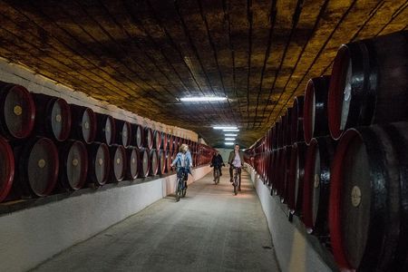 Private Bike Tour to Cricova Winery with wine tasting and lunch 