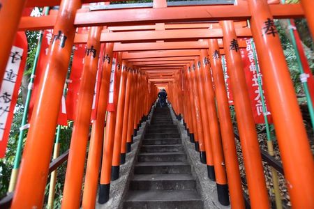 Haneda Layover tour of 6hours with local Japanese guide by train 