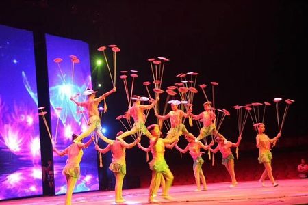 Chaoyang Acrobatic show plus Dim Sum Dinner Experience in Beijing