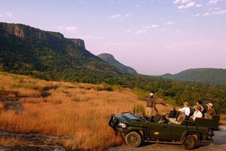 Private Day Tour Of Ranakpur Jain Temple & Jungle Safari From Udaipur