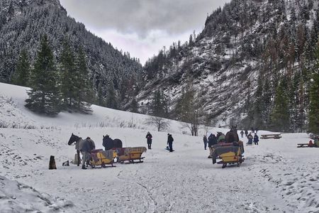 Horse Sleigh Ride in the Polish Countryside, private tour from Krakow