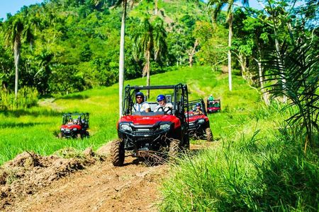 Adventure Bundle: Monkeyland, Ziplines & Buggies Punta Cana