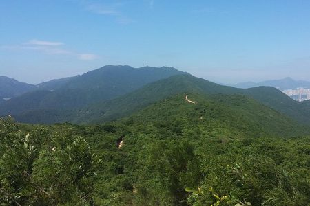 The Dragon's Back Hiking Tour, Hong Kong